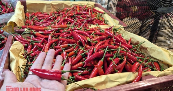 Khó tin: Việt Nam chi hơn 23 triệu USD để nhập khẩu ớt