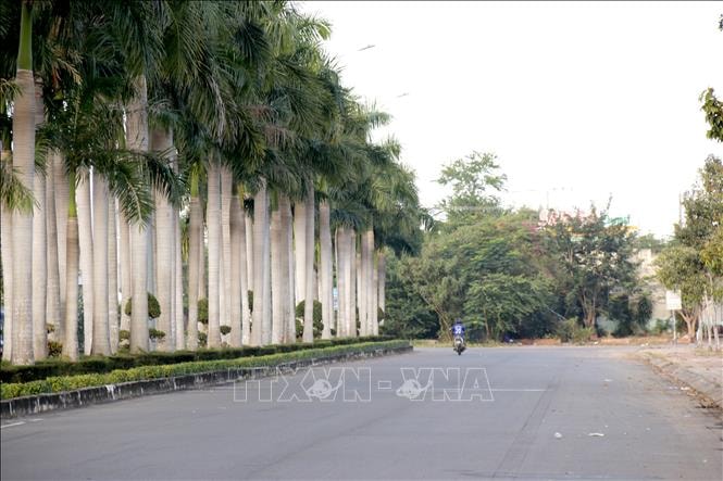 Lâm Đồng thúc tiến độ dự án đường gần 5.000 tỷ đồng nối cao tốc với Phan Thiết