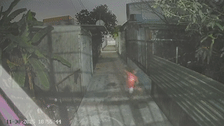 Bị bắt vì liên tục ném gạch đá vào nhà hàng xóm ở TP HCM