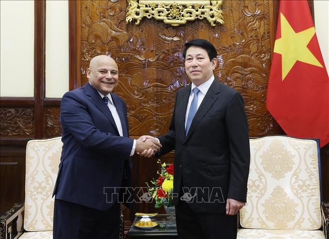 Chủ tịch nước tiếp Đại sứ Ai Cập, Đại sứ Ấn Độ trình Quốc thư