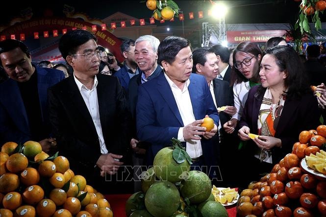 Khai mạc Lễ hội cam Cao Phong và hội chợ triển lãm sản phẩm đặc trưng