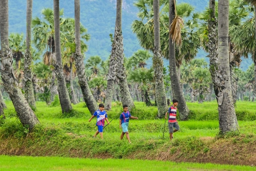 Đột phá chính sách giúp "hồi sinh" làng nghề, nâng cao đời sống người dân