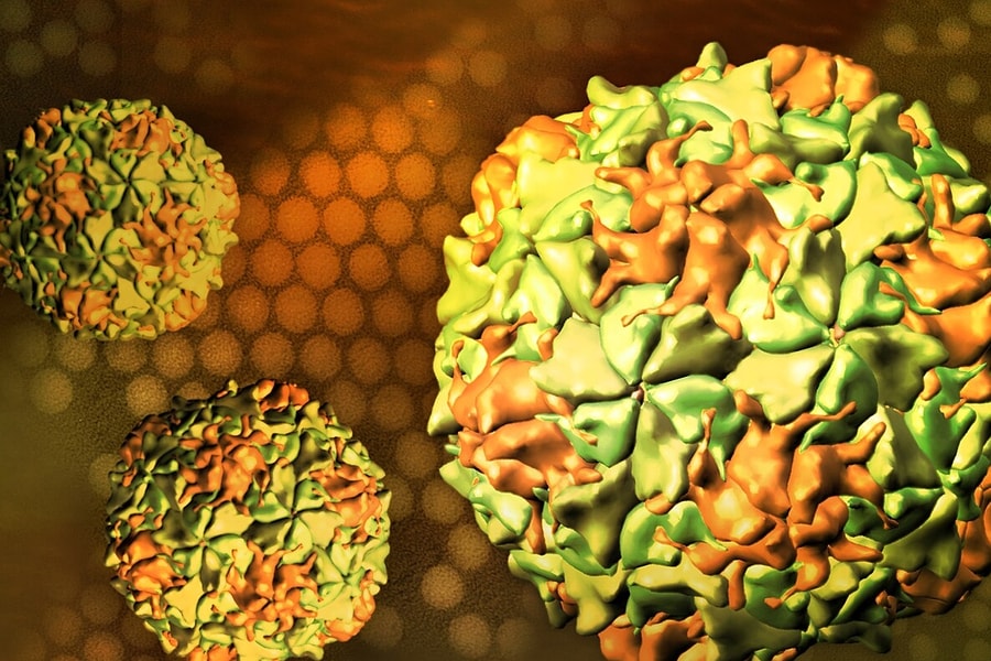 Virus bại liệt biến đổi gene nguy cơ xâm nhập Việt Nam