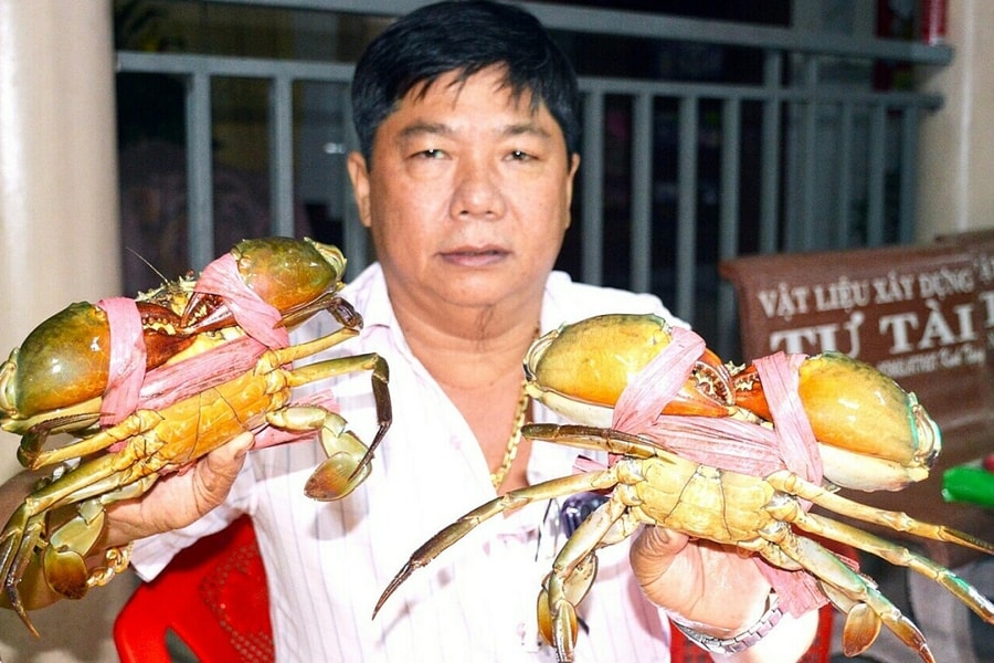 Cà Mau xây dựng vùng nuôi cua biển 50.000 ha phục vụ xuất khẩu