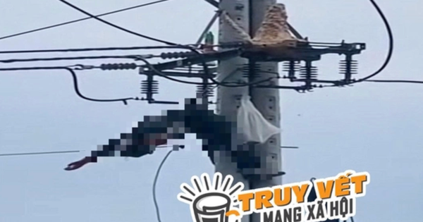 Bắt ong vò vẽ, một thanh niên bị điện giật tử vong