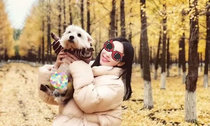 Trung Quốc lần đầu phạt tù kẻ đầu độc chó