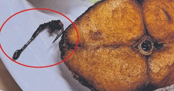 Đang ăn cá chiên, người phụ nữ phát hiện ra thứ đáng sợ