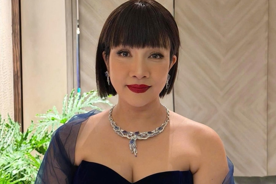 Hình ảnh khác lạ của Mỹ Linh