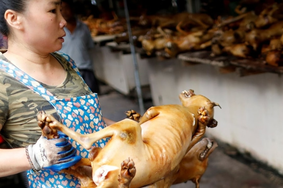 Nơi nào ở Trung Quốc được gọi là 'thủ phủ' thịt chó''?