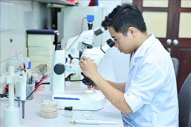 Chiến lược quốc gia về phát triển đội ngũ trí thức đến năm 2030, tầm nhìn đến năm 2045