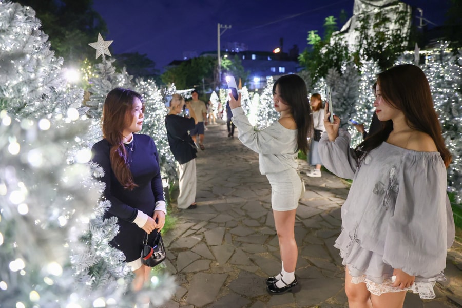 Quán cà phê thiết kế hàng trăm cây thông như 'Công viên Giáng sinh' ở TP HCM