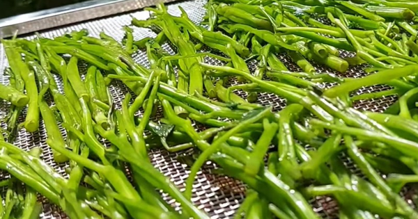 2 loại rau “khoái khẩu” mùa lạnh dễ thành ổ sán, đứng đầu bảng mâm cơm nhà nào cũng có