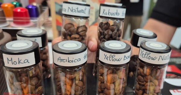 Giá cà phê hôm nay 15-12: Rớt liên tục, ông trùm cà phê nói gì?