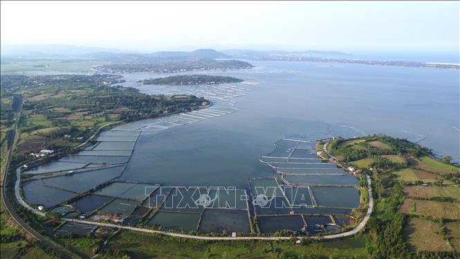 Phủ xanh rừng ngập mặn, phục hồi hệ sinh thái đầm Ô Loan (Đắk Lắk)