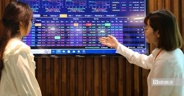 VN-Index hồi phục kỹ thuật, khuyến nghị thăm dò cổ phiếu chăn nuôi và dầu khí