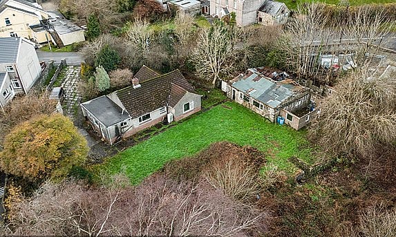 Cả thị trấn không bán được nhà vì loài cỏ lạ