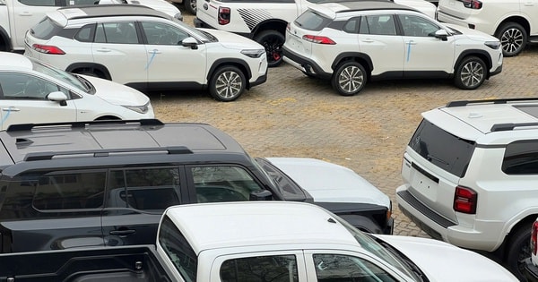 Cận cảnh lô xe gần 2.100 chiếc vừa cập cảng TPHCM