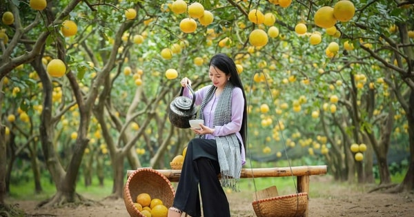 Long Nhật tiết lộ bí quyết nổi tiếng cho trò cưng, ca sĩ Dương Minh Thu