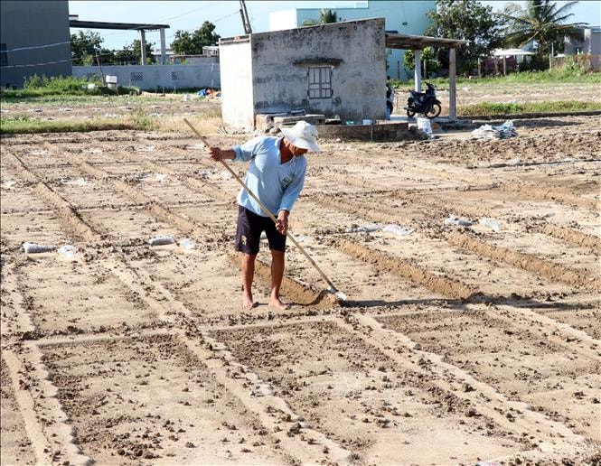 Tổng lực khắc phục thiên tai, phục hồi sản xuất kinh doanh dịp Tết