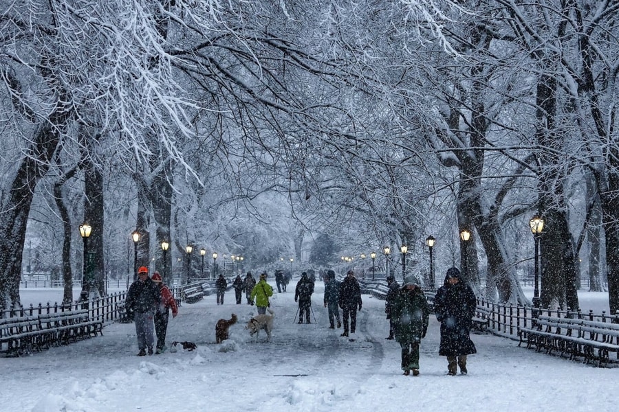 New York như 'xứ thần tiên' trong tận tuyết đầu mùa