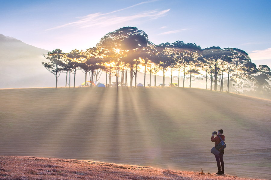 Cắm trại, đón bình minh trên đồi cỏ hồng Đà Lạt