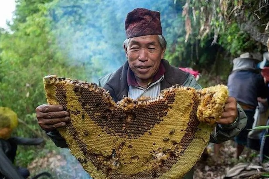 Ăn mật ong điên quá liều sẽ ra sao?