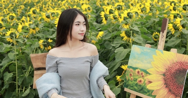 Giới trẻ đổ xô check-in cánh đồng hoa hướng dương đẹp như tranh ở xứ Nghệ