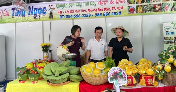 Phiên chợ nông sản vùng miền đặc biệt ở TPHCM cuối tuần này