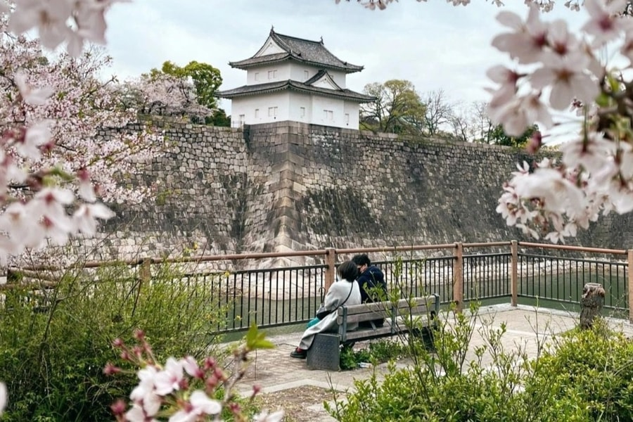 MayTrip đồng hành cùng du khách Việt khám phá mùa hoa anh đào Nhật