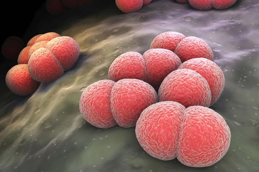 5 loại vi khuẩn gây bệnh thường trú ở vùng mũi họng