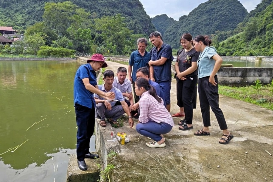 Hàng trăm mô hình sinh kế giúp hộ nghèo, cận nghèo cải thiện thu nhập