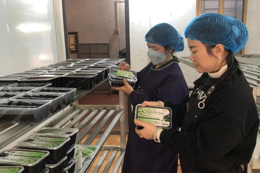 Hỗ trợ hội viên phụ nữ vay gần 28 tỷ đồng phát triển kinh tế