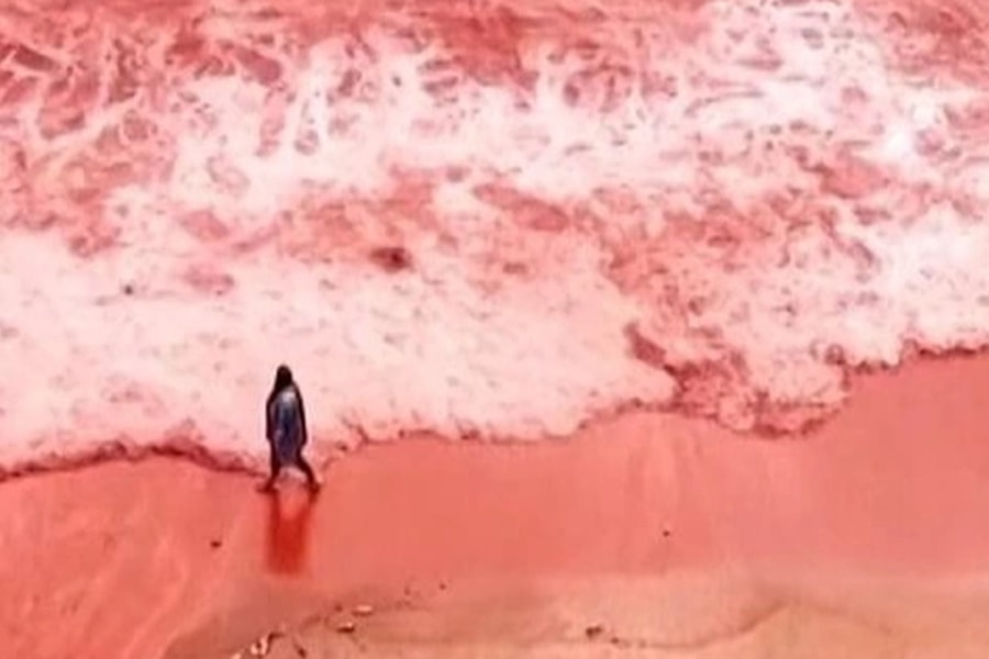 Sau đợt mưa lớn, cảnh bãi biển đỏ rực như máu khiến nhiều người bị sốc