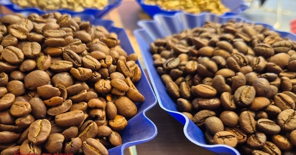Giá cà phê hôm nay 20-12: Giảm phiên thứ 7, tiêu thụ cà phê tăng kỷ lục