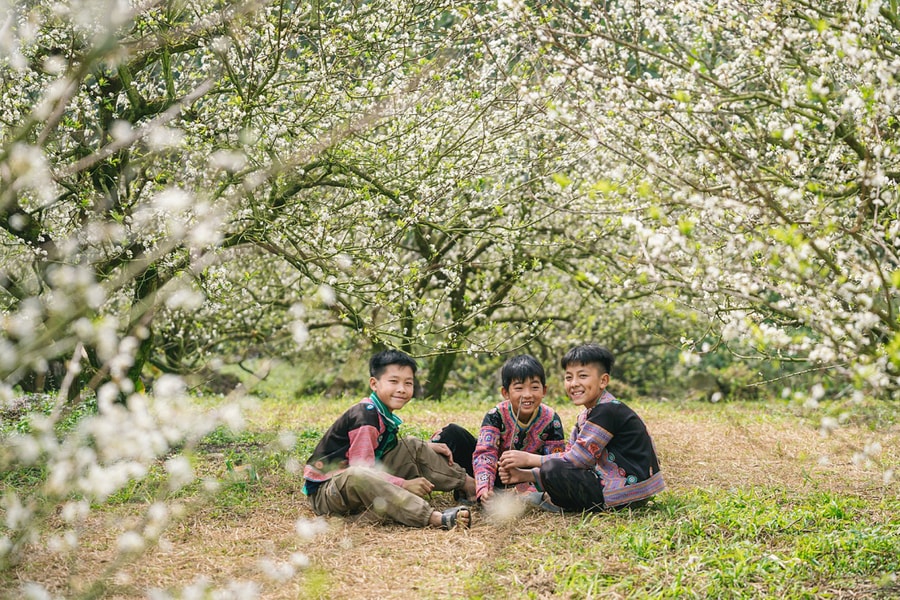 6 điều nên làm khi đến Mộc Châu mùa đông xuân