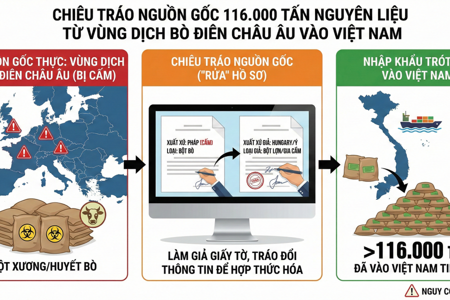 Chiêu tráo nguồn gốc 116.000 tấn nguyên liệu từ vùng dịch bò điên châu Âu