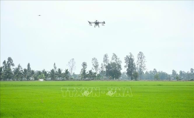 FAO đánh giá cao tiến bộ của Việt Nam trong phát triển nông nghiệp bền vững