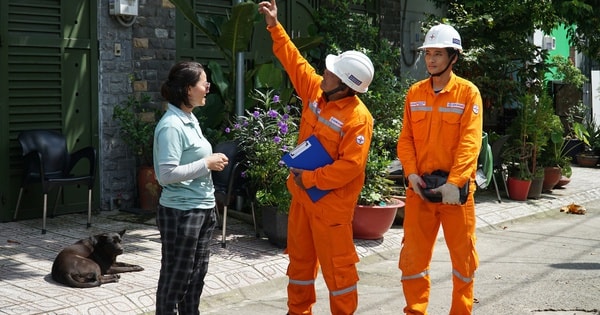 Tổng Công ty Điện lực TP HCM: Bảo đảm cấp điện ổn định dịp lễ, Tết