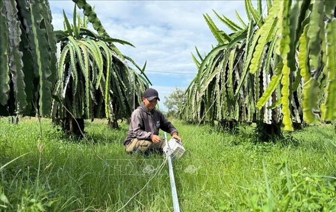 Khắc phục cơ sở hạ tầng, ổn định cuộc sống của nhân dân miền Trung sau bão lũ