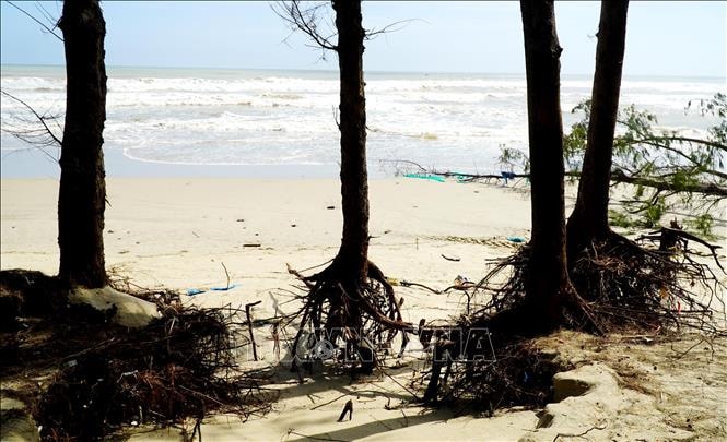 Nguy cơ sạt lở 'nuốt chửng' bãi biển Mỹ Khê