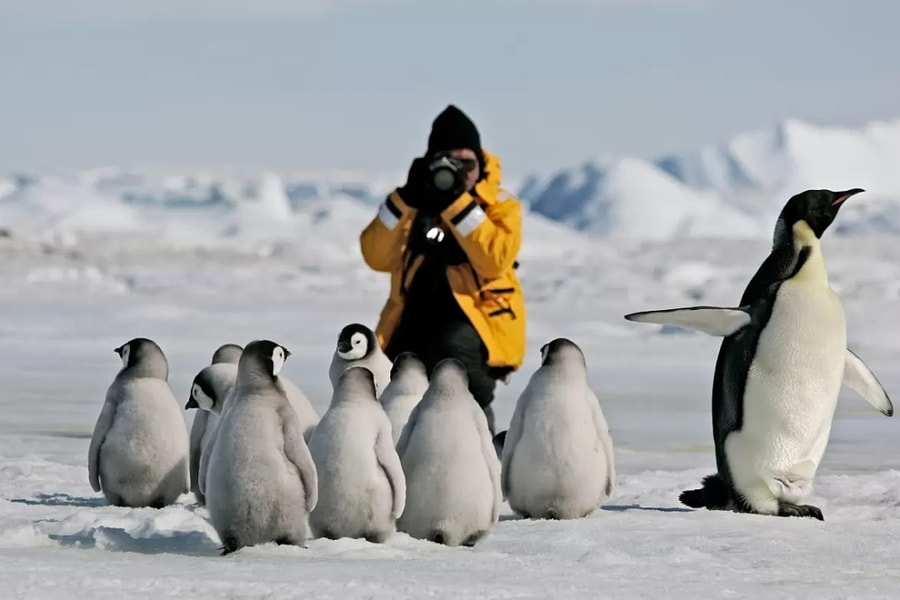 Theo chân blogger Mỹ lần đầu chinh phục Nam Cực