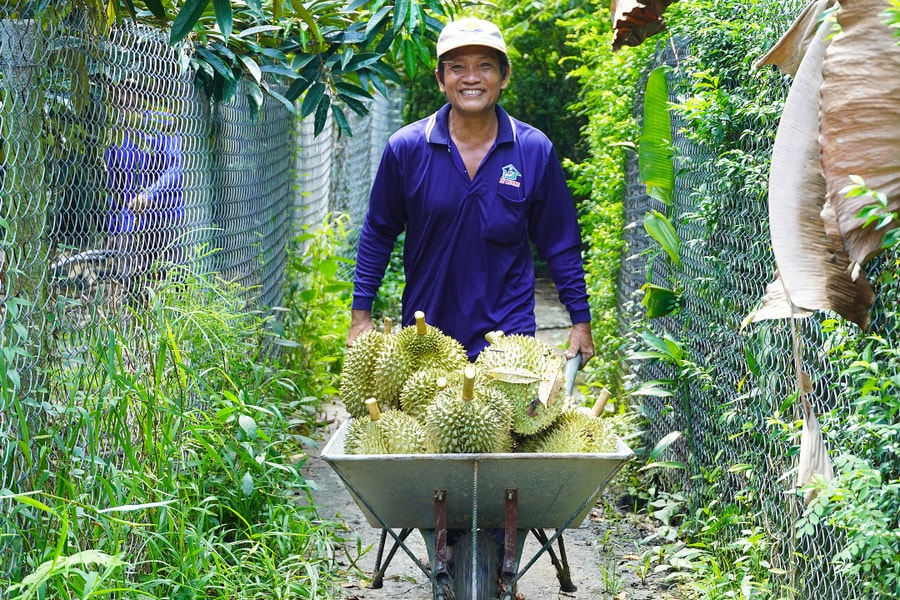 Cà phê, sầu riêng bứt phá đưa nông sản lập kỷ lục mới