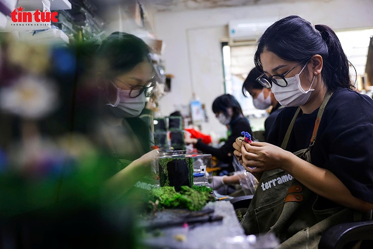 Người khuyết tật làm những hộp quà Giáng sinh độc đáo