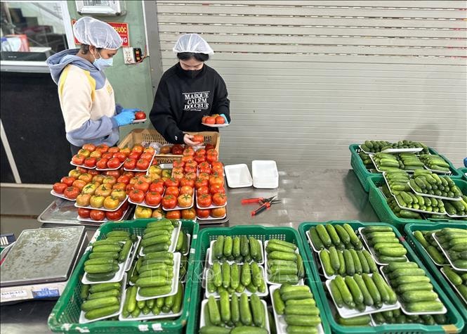 Lâm Đồng: Nguồn cung, giá rau củ dần ổn định sau mưa lũ