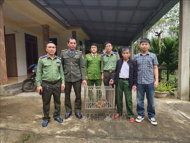 Quảng Trị: Tiếp nhận 2 cá thể khỉ vàng quý hiếm từ người dân