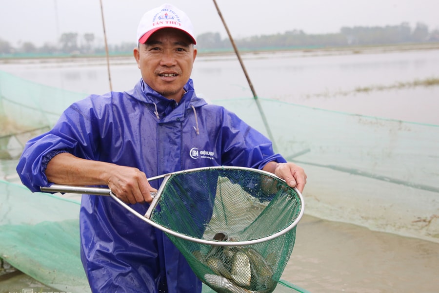 Nuôi cá trên ruộng lúa bỏ hoang - một vốn mấy lời