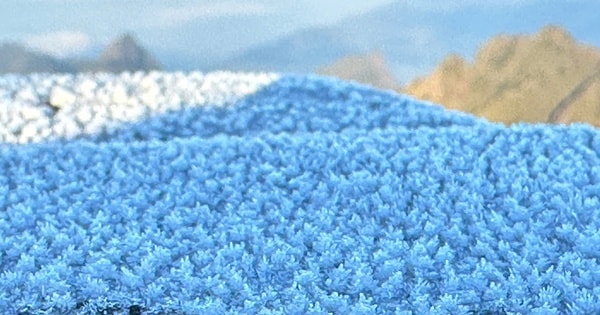 VIDEO: Du khách thích thú ngắm tuyết rơi phủ trắng đỉnh Fansipan