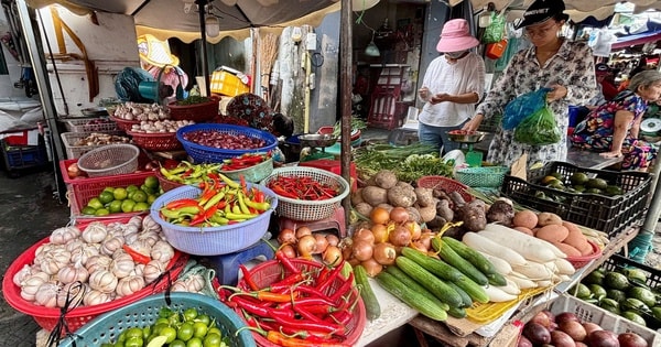 VIDEO: Giá ớt ở TPHCM đắt ngang thịt bò?