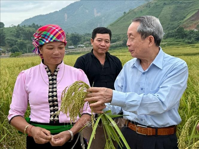 Viện sĩ của nhà nông