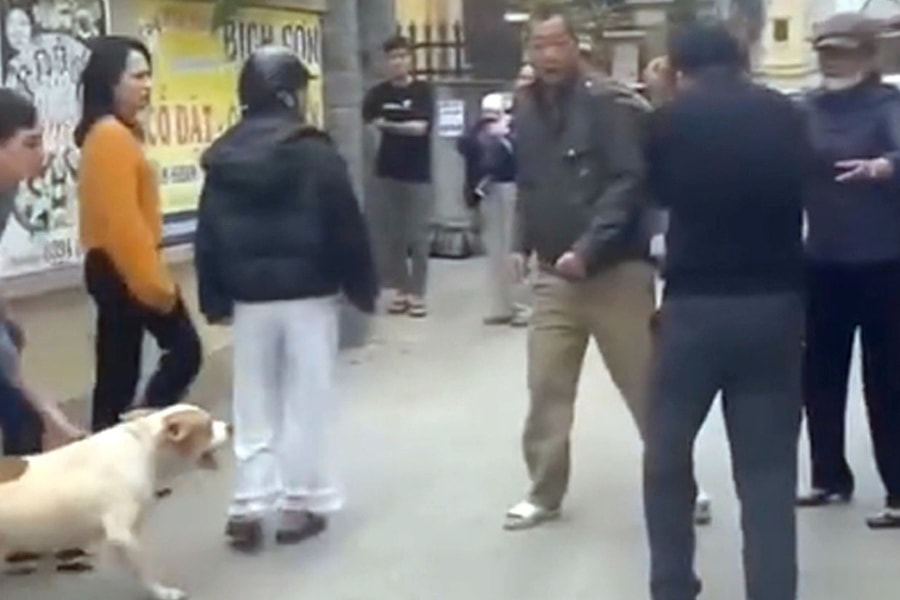 Hai cha con thả chó dữ cắn hàng xóm bị tạm giữ